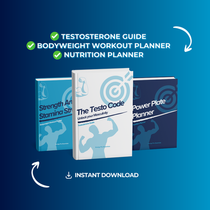 The Warrior System (Full Course)